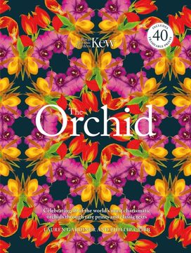Orchid Orchid