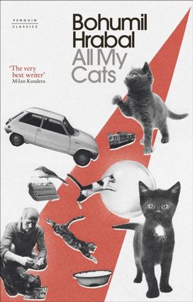 All My Cats All My Cats
