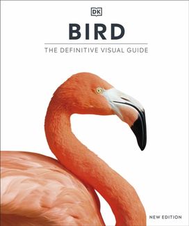 Bird Bird