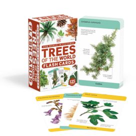Our World in Pictures Trees of the World Flash Cards Our World in Pictures Trees of the World Flash Cards