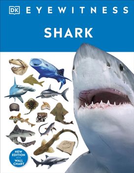 Shark Shark