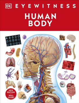 Human Body Human Body