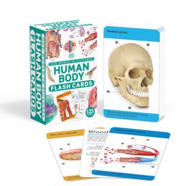 Our World in Pictures Human Body Flash Cards Our World in Pictures Human Body Flash Cards