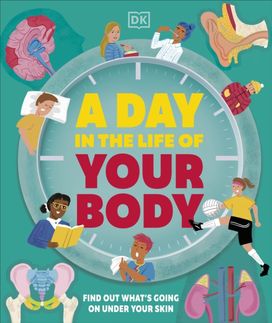 Day in the Life of Your Body Day in the Life of Your Body