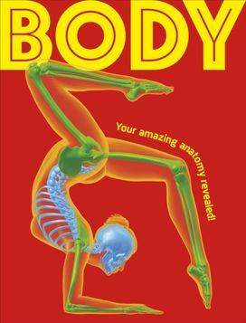 Body Body