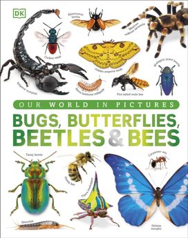Bugs, Butterflies, Beetles and Bees Bugs, Butterflies, Beetles and Bees