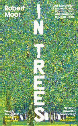 In Trees In Trees