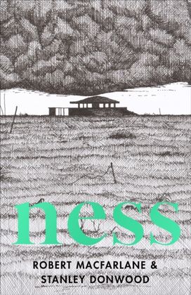 Ness Ness