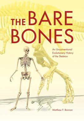 Bare Bones Bare Bones