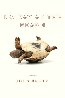 No Day at the Beach No Day at the Beach
