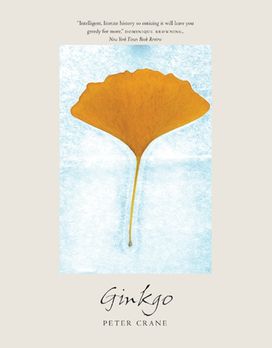 Ginkgo Ginkgo