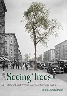 Seeing Trees Seeing Trees