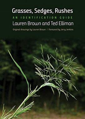 Grasses, Sedges, Rushes Grasses, Sedges, Rushes