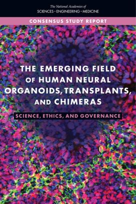 Emerging Field of Human Neural Organoids, Transplants, and Chimeras Emerging Field of Human Neural Organoids, Transplants, and Chimeras