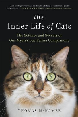 Inner Life of Cats Inner Life of Cats