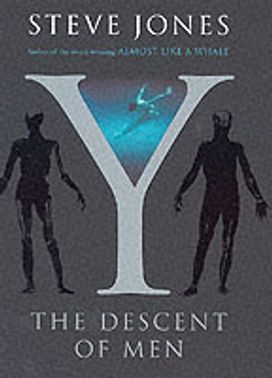 Y Y