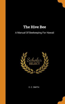The Hive Bee The Hive Bee