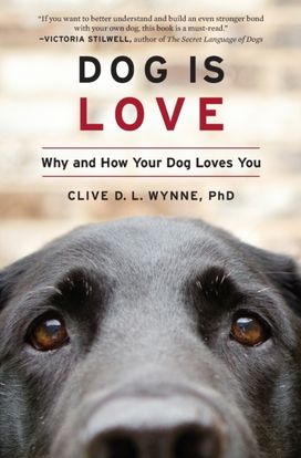 Dog is Love