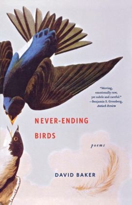 Never-Ending Birds Never-Ending Birds
