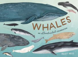 Whales Whales