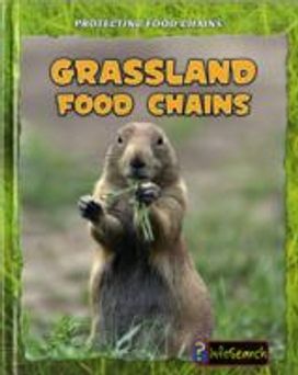 Grassland Food Chains Grassland Food Chains