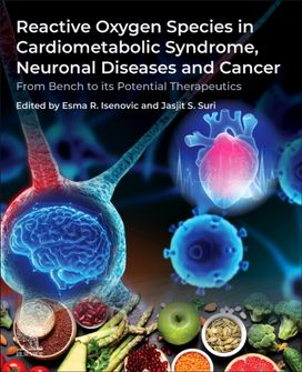 Reactive Oxygen Species in Cardiometabolic Syndrome, Neuronal Diseases and Cancer