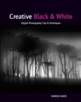 Creative Black and White Creative Black and White