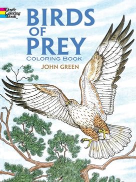 Birds of Prey Coloring Book Birds of Prey Coloring Book