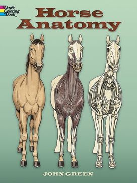 Horse Anatomy Coloring Book Horse Anatomy Coloring Book