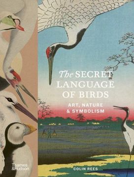 Secret Language of Birds Secret Language of Birds