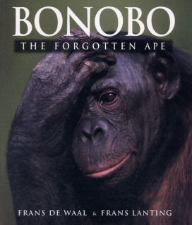 Bonobo Bonobo