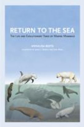 Return to the Sea Return to the Sea