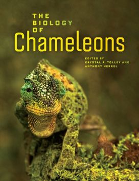 Biology of Chameleons Biology of Chameleons