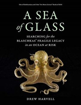 Sea of Glass Sea of Glass