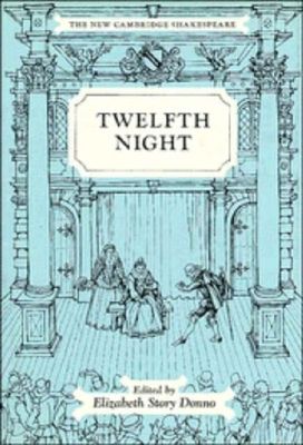Twelfth Night or What You will