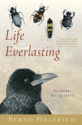 Life Everlasting Life Everlasting
