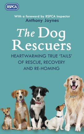 Dog Rescuers Dog Rescuers