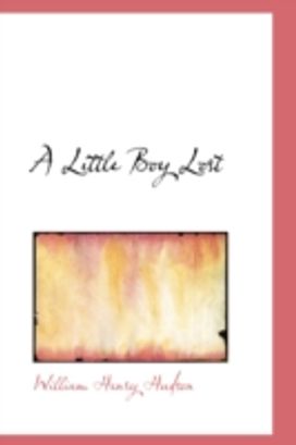 A Little Boy Lost