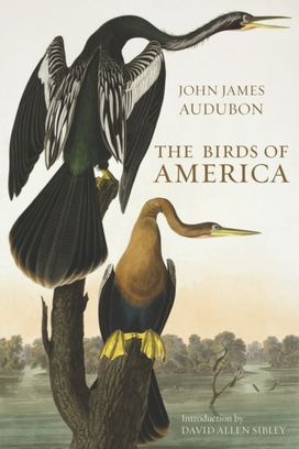 Birds of America Birds of America