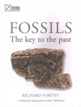 Fossils Fossils
