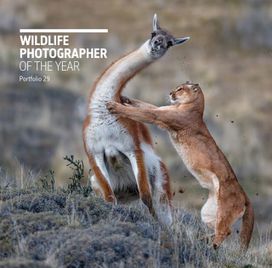 Wildlife Photographer of the Year: Portfolio 29 Wildlife Photographer of the Year: Portfolio 29