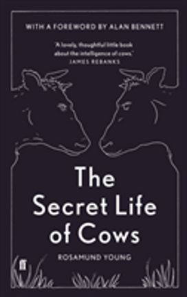 The Secret Life of Cows