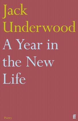 A Year in the New Life A Year in the New Life