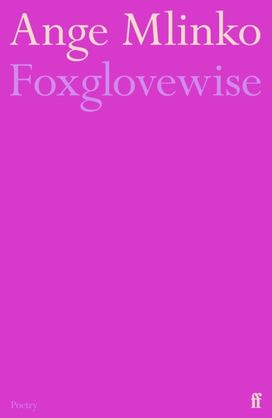 Foxglovewise Foxglovewise