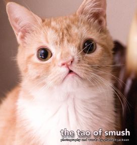 Tao of Smush Tao of Smush