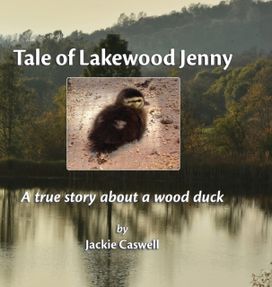 Tale of Lakewood Jenny Tale of Lakewood Jenny