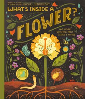 What's Inside a Flower? What's Inside a Flower?