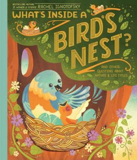 What's Inside A Bird's Nest? What's Inside A Bird's Nest?