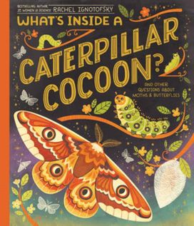 What's Inside a Caterpillar Cocoon? What's Inside a Caterpillar Cocoon?