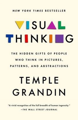 Visual Thinking Visual Thinking